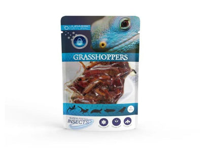 Coburg Aquarium | Jurassic Natural Grasshopper 8pcs single pack