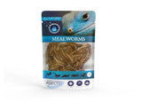 JN MEALWORM 20G SINGLE PACK