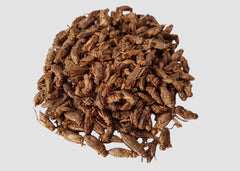 Coburg Aquarium | Minibeasts Freeze Dried Crickets 100g | Shop reptile food online