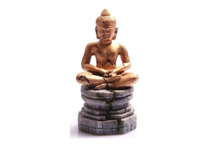 Coburg Aquarium | Ornament Meditating Buddha 9x8.5x17.5cm (gold)