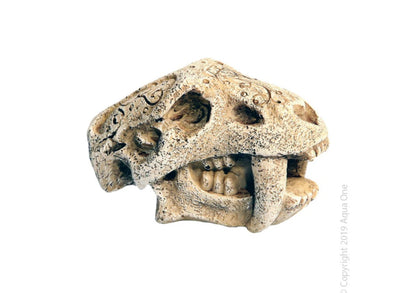Cobrug Aquarium |Ornament Mini Dinosour Head W Fangs 5x7x4.5cm