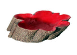 Reptile One Hermit Crab Tree Stump Bowl Red