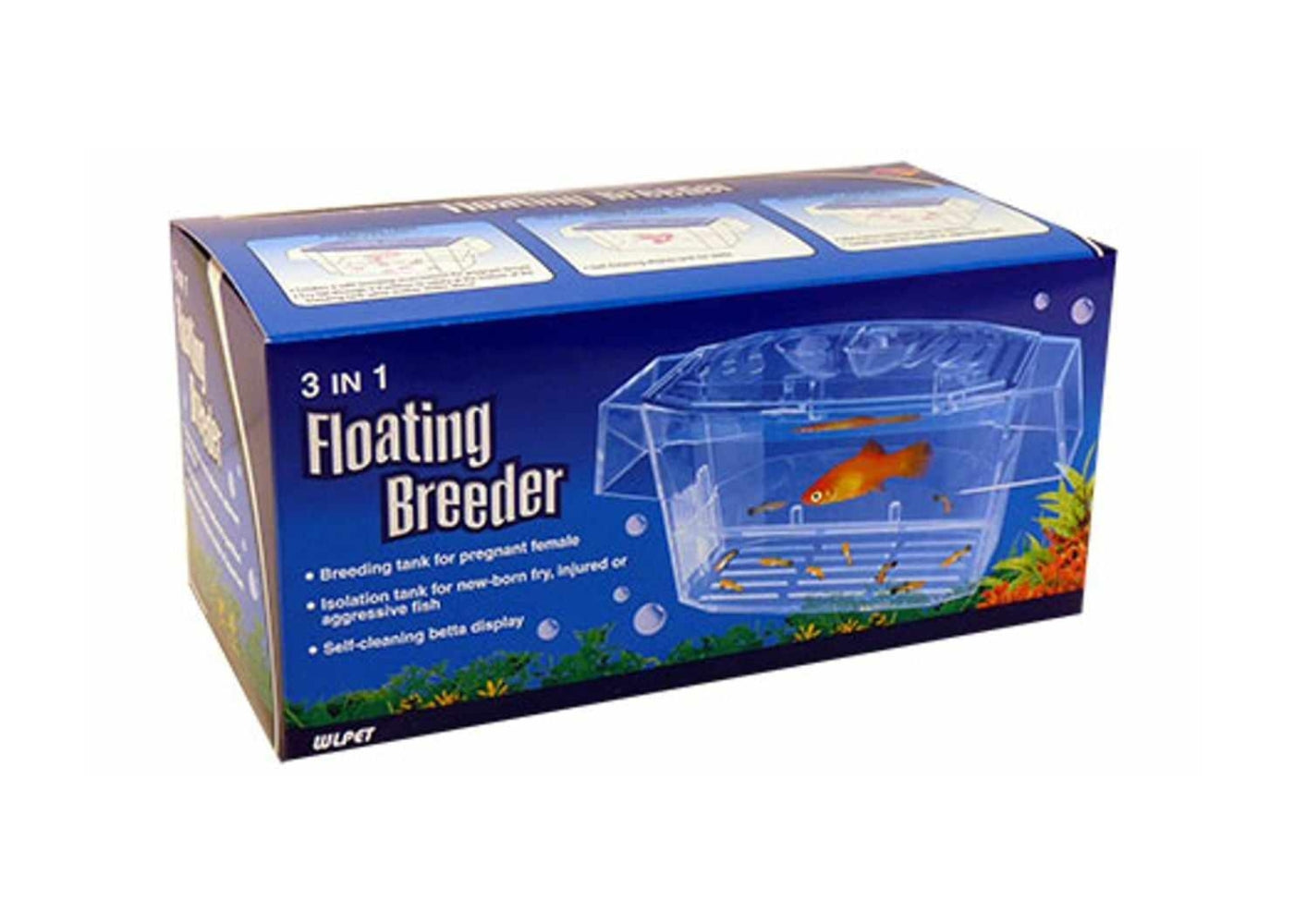 Shop Aquarium in Floating Breeder Box – Coburg Aquarium