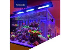 Coburg Aquarium | Zetlight Q6-90 170W WiFi Marine LED
