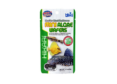 Hikari Algae mini wafers