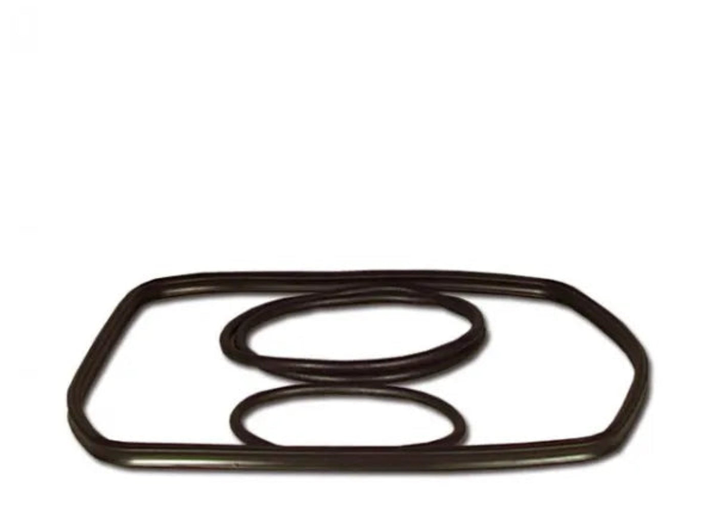 Eheim Outlet Neck Sealing Ring installed on a Professionel 3 canister filter