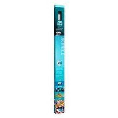 Fluval Sea T5 HO Actinic 24W 55cm aquarium bulb