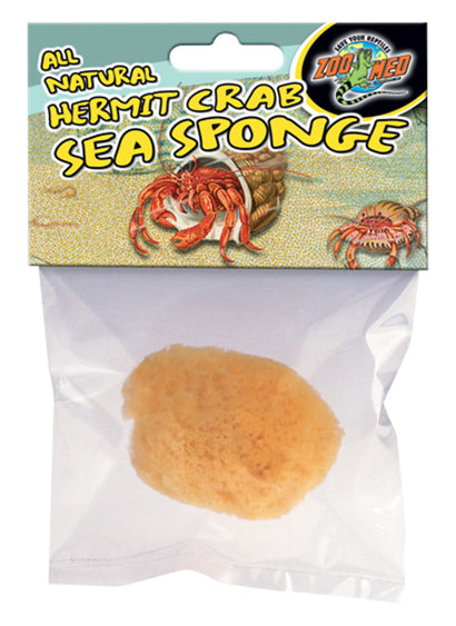 Hermit Crab Sponge