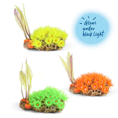 Kazoo - Soft Coral W/Ferns