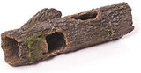 Kazoo - Cholla Wood Breeding Log W/Holes