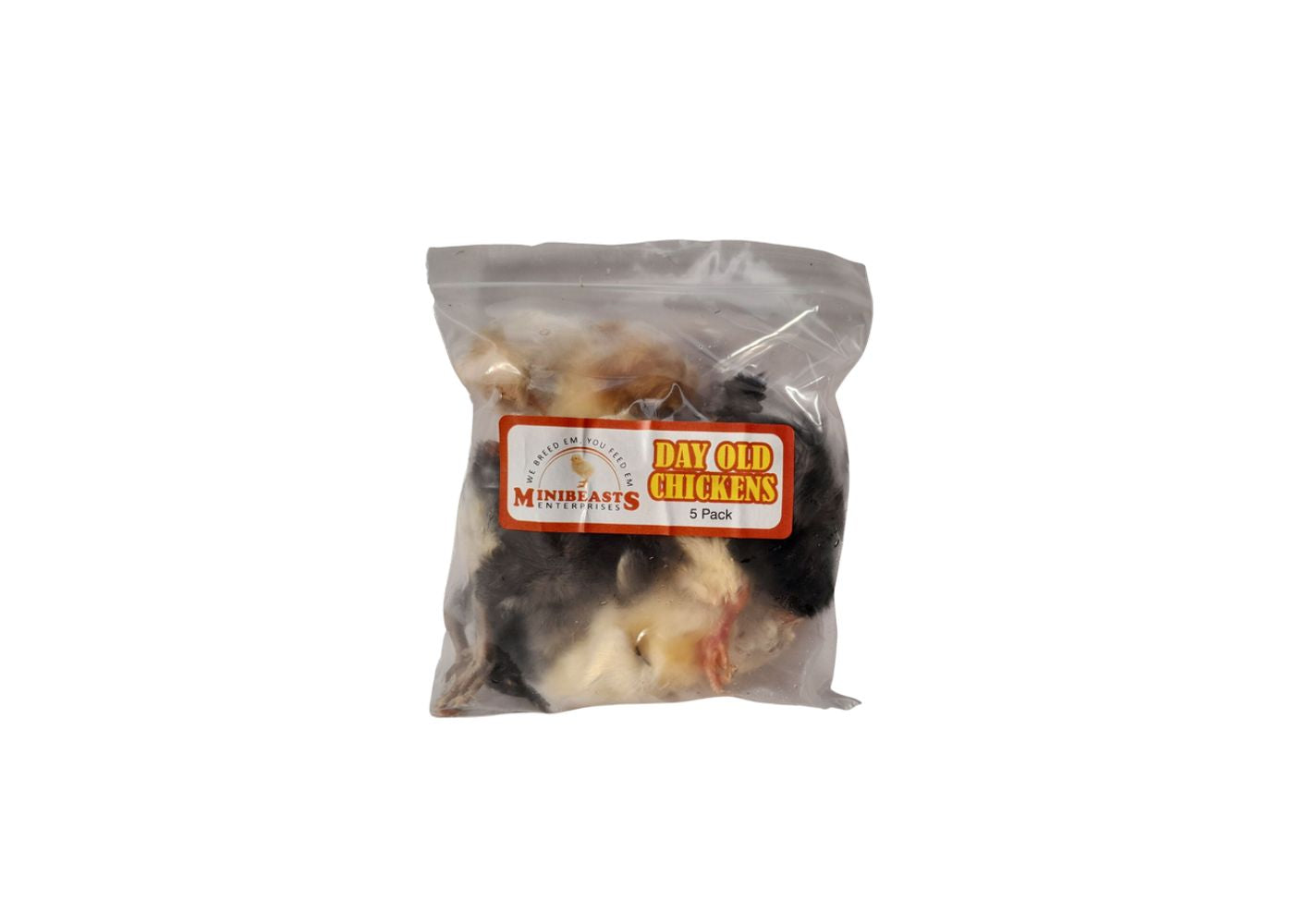 Minibeasts frozen day old chickens 5 pack feeder in sealed bag