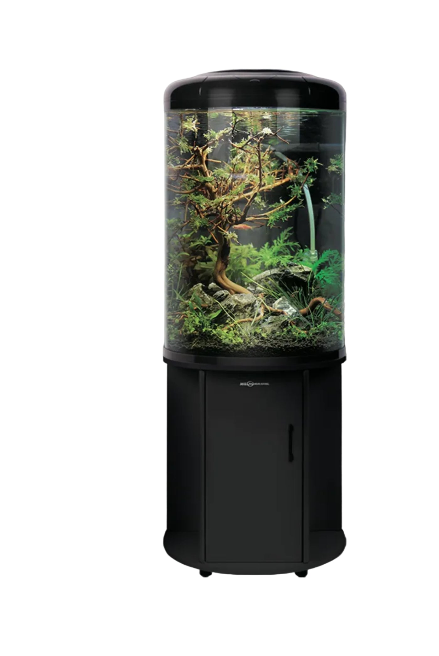 Minjiang BY-560HS semi-circle aquarium with tropical fish and aquatic plants