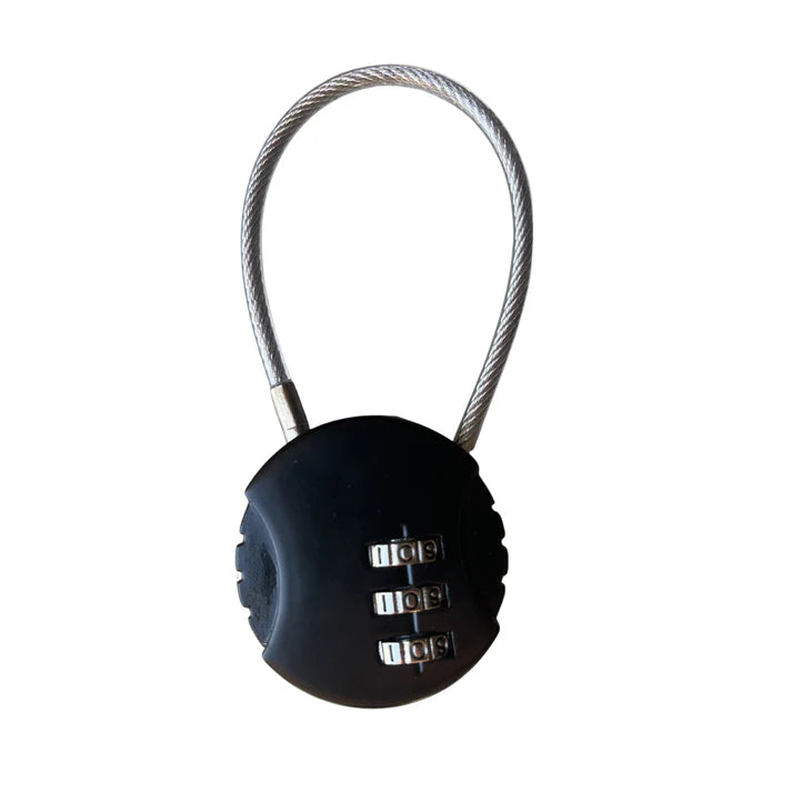 Combination lock installed on a glass reptile enclosure