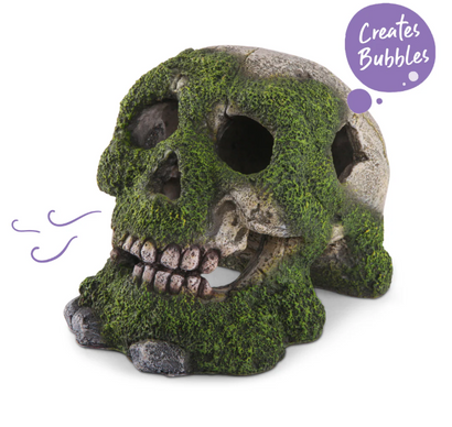 Kazoo - Skull W/Moss & Air