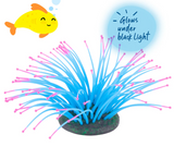 Kazoo - Silicone Plant Sea Anemone Blue/Pink