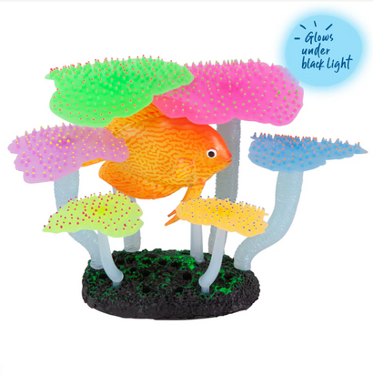 Kazoo - Silicone Plant Fluro Anemone w/Discus