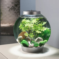 biOrb Decor Set Summer