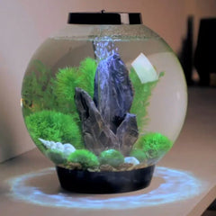 biOrb Decor Set Stone Garden