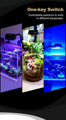 Coburg Aquarium | Zetlight Mini 3W LED
