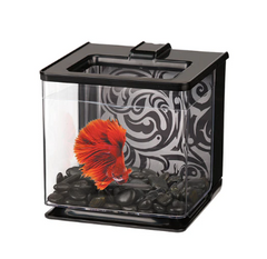 Marina EZ Care Betta Kit