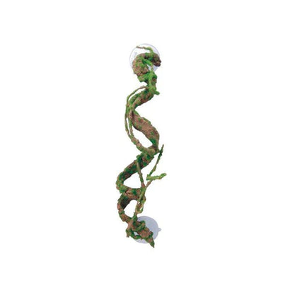 Eco Tech Corkscrew Vine 40cm