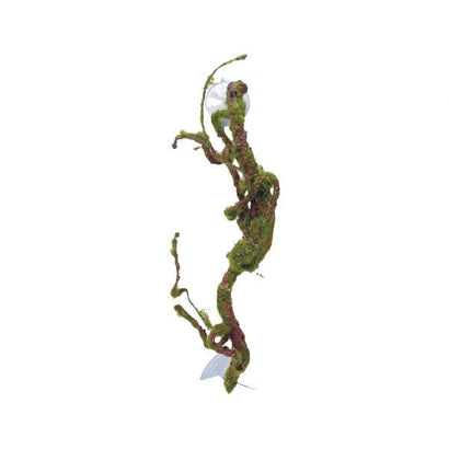 Eco Tech Twisted Vine w/Moss Ball 40cm