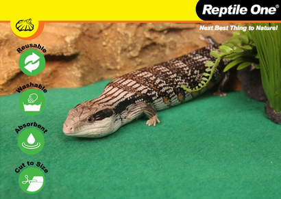 Reptile Enclosure Carpet Reusable 120 X 60cm 2pk