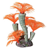 Hermit Crab Tube Worm