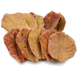 Catappa Leaf