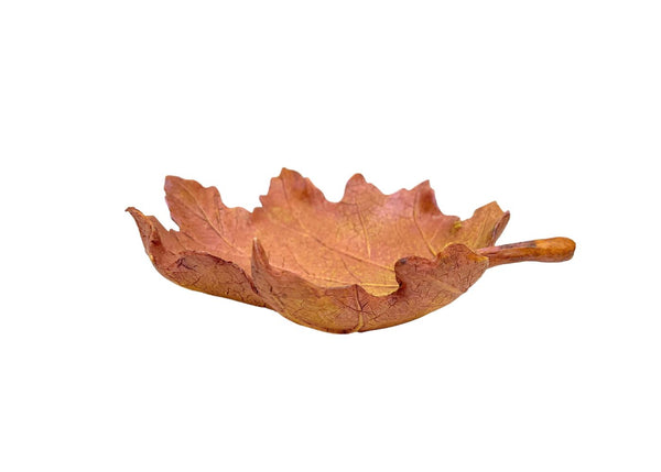 Large Maple Leaf Dish | Up to 80% off Aquarium Ornaments Sale| Coburg ...