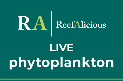 Reefalicious - Live Phytoplankton