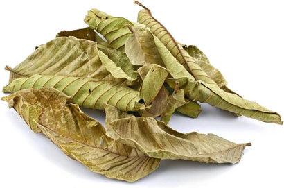 Guava Leaves