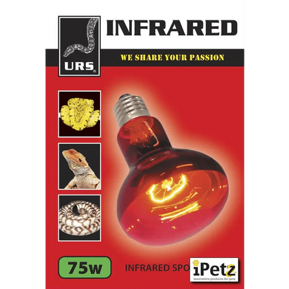 Globe Infrared Lamp
