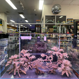 Yi Ding Light Stand for 120 x 45 x 70cm