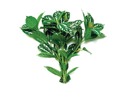 Aquarium decorations Greenage, plastic / fake bush plant, leaf's