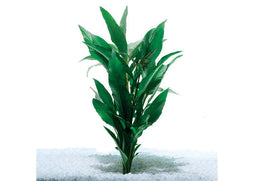 chlorophytum bichetii aquarium Shop Aquarium Plants