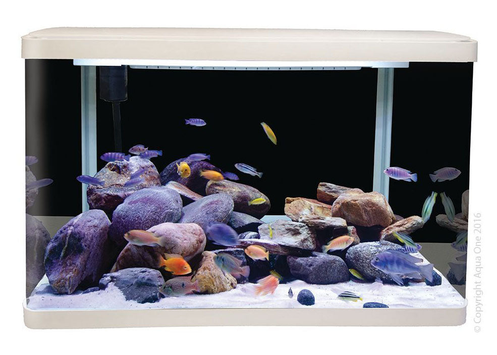 Aqua One LifeStyle 127 Complete Glass Aquarium 80cm 127L Gloss Black