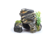 Kazoo Granite Rock With Plant