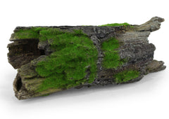 Kazoo Driftwood With textured Moss
