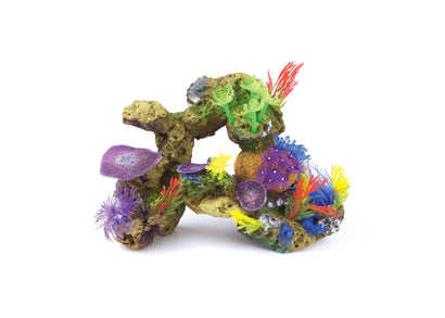 Kazoo Soft Coral With Rock and Plants