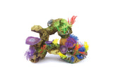 Kazoo Soft Coral With Rock and Plants