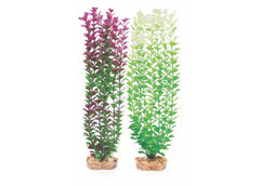 Kazoo Plastic Plant Small Leaf Purple/White