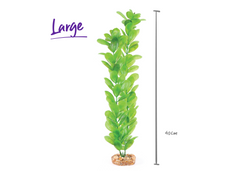 Kazoo Plastic Plant Decorative Large Leaf Green