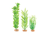 Kazoo Plastic Plant Multipack 2