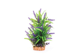 Kazoo Thin Leaf With Purple Flower Combination Plant