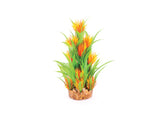 Kazoo Thin Leaf With Orange Flower Combination Plant