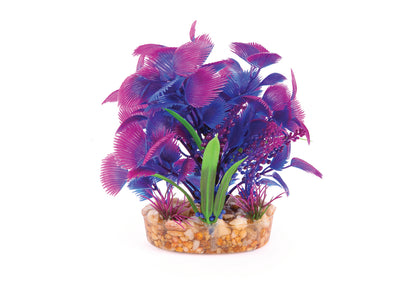 Kazoo Maroon With Assorted Leaf Combination Bush