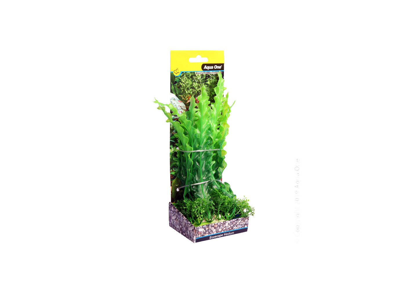 Aqua One Ecoscape Ruffled Lace Plant packaging