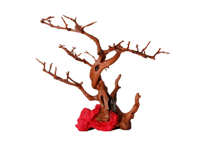 Reptile One Hermit Crab Climbing Branches and Red Rock