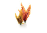 biOrb Autumn Fern (2 Set)
